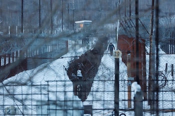 Alexei Navalny murió en la remota cárcel conocida como "Lobo Polar", en el Círculo Polar Ártico (REUTERS/Stringer)