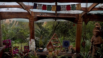 Sus casas están rodeadas de naturaleza boscosa donde las nubes suelen estacionarse creando un ambiente único e inspirador 
CRÉDITO: Max Alonso - Infobae México