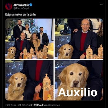 El lomito de la familia