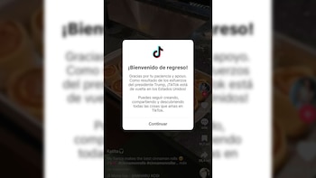 Usuarios de TikTok recibieron un