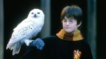 Chris Columbus afirmó que la