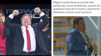 Memes por la llegada de