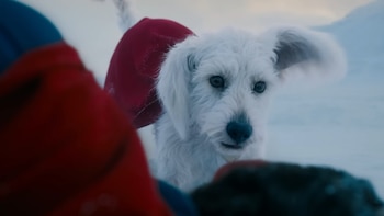 Krypto está basado en el