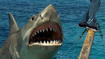 "Tiburón", un éxito arrasador en