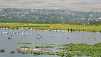 Humedal de Santa Rosa, en