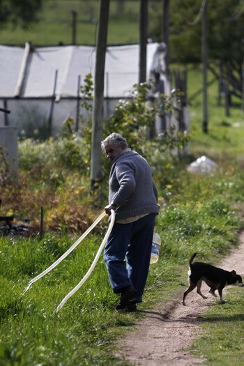 José Mujica trabaja en su