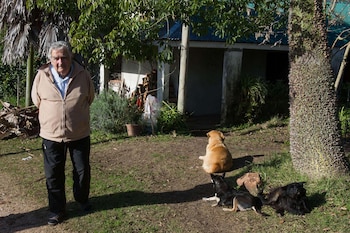 El presidente uruguayo, José Mujica,