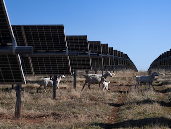 Miles de paneles solares en