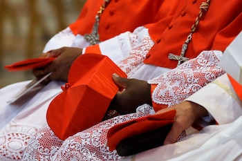 Cardenales portan sus birretes rojos