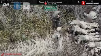 Audios y videos confirman ejecuciones
