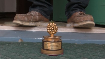 Los Premios Razzie son una