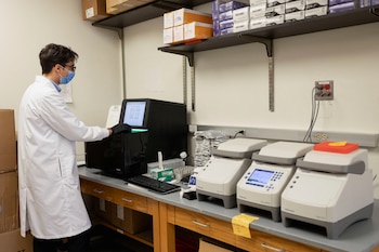 AlphaGenome fue entrenado con datos