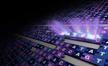 La arquitectura de AlphaGenome se