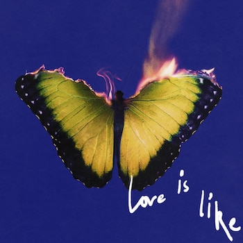 Adam Levine destaca que Love