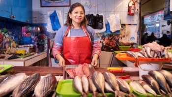 Según el estudio, solo un