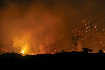 El fuego avanzó con rapidez