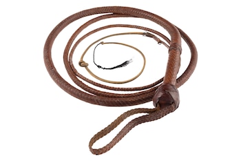 El látigo de Indiana Jones