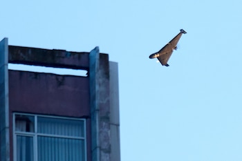 Un dron ruso ataca un