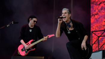 El vocalista Perry Farrell fue