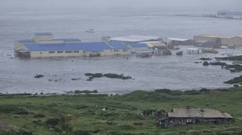 La planta procesadora de pescado