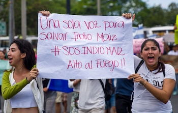 Dos jóvenes participan de una