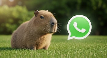 El modo capibara es para