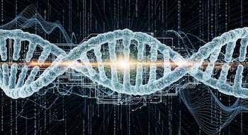 Este experimento tuvo como objetivo