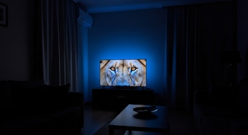 Un televisor muestra la cara de un león con ojos amarillos brillantes, en una sala oscura. La pantalla emite una luz azul que ilumina la pared de fondo.